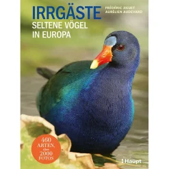 Irrgäste. Seltene Vögel in Europa.