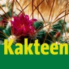 Kakteen.