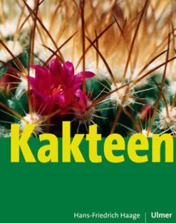 Kakteen.