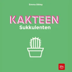Kakteen Sukkulenten.