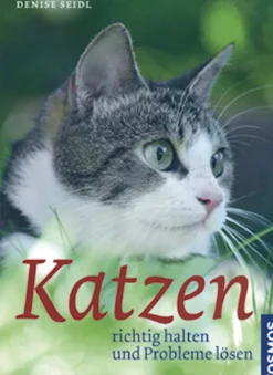 Katzen richtig halten und Probleme lösen
