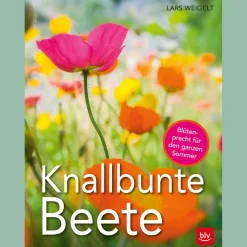 Knallbunte Beete.