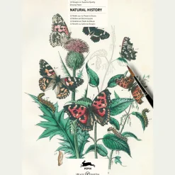 Malbuch »Naturgeschichte«.