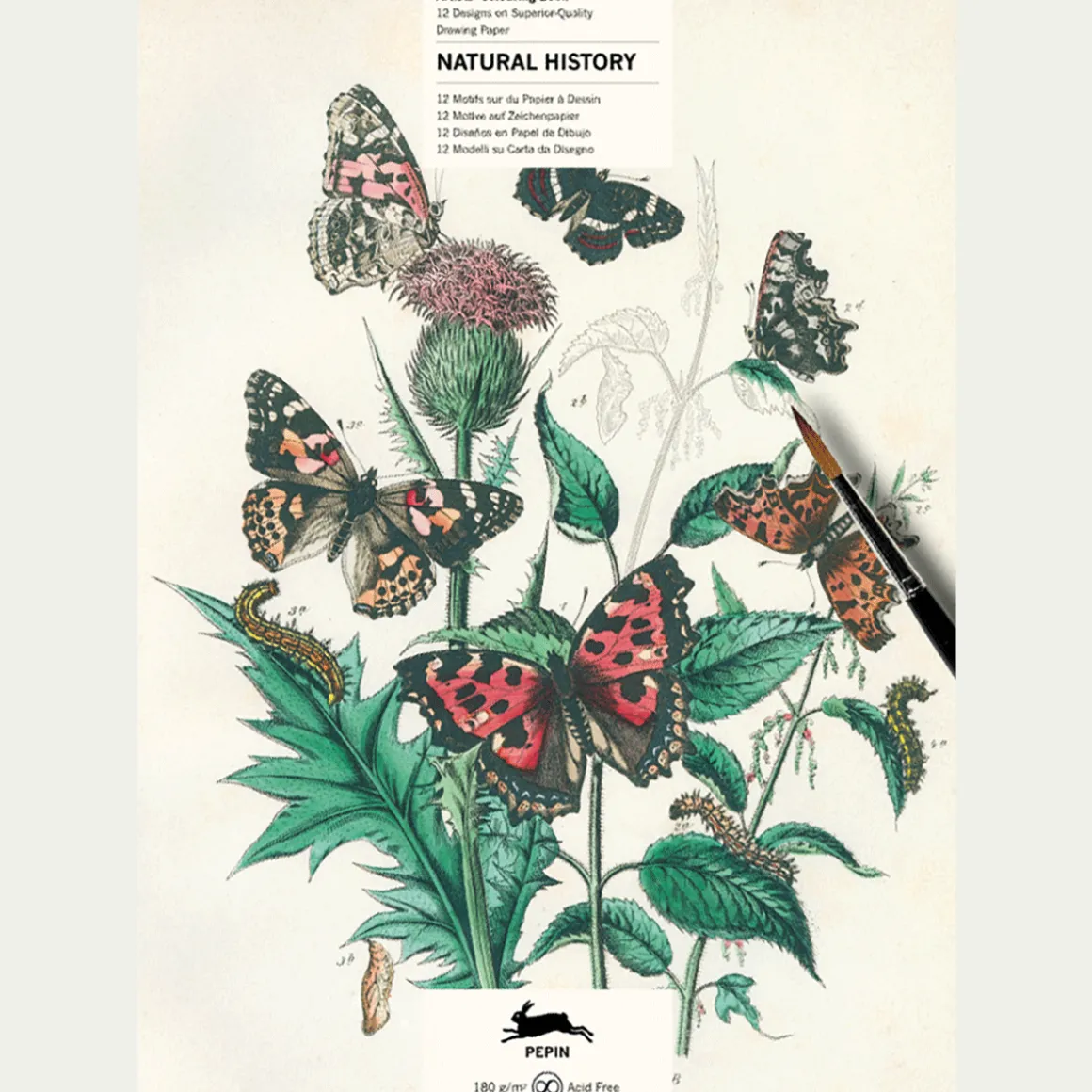 Malbuch »Naturgeschichte«.
