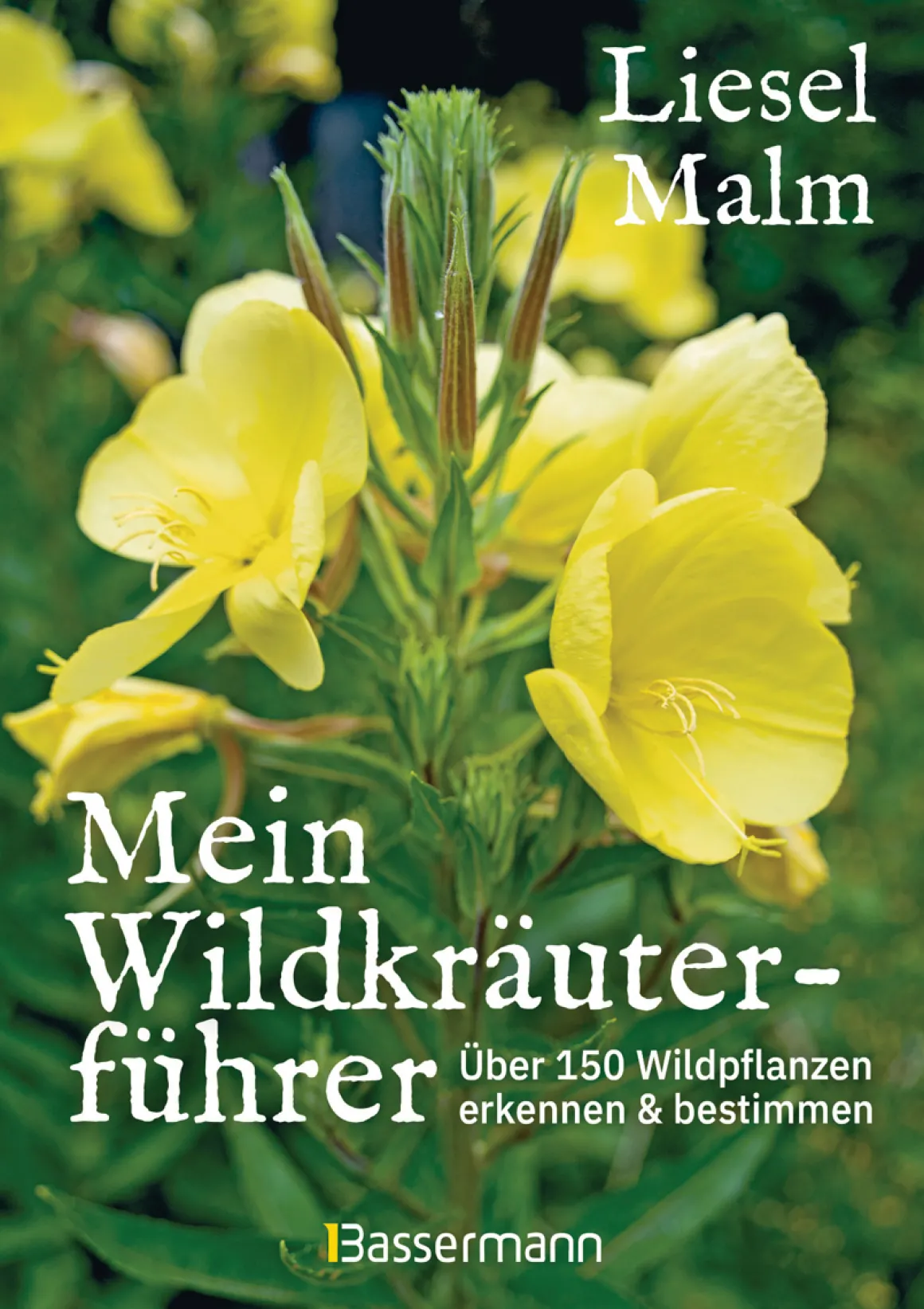 Mein Wildkräuterführer. Über 150 Wildpflanzen sammeln, erkennen & bestimmen.
