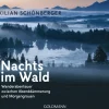 Nachts im Wald. Wanderabenteuer zwischen Abenddämmerung und Morgengrauen.