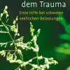 Neue Wege aus dem Trauma. Erste Hilfe bei schweren seelischen Belastungen