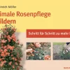 Optimale Rosenpflege in Bildern - Schritt für Schritt zu mehr Erfolg