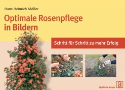 Optimale Rosenpflege in Bildern - Schritt für Schritt zu mehr Erfolg