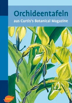 Orchideentafeln aus Curtis’s Botanical Magazine.