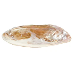 Perlmutt Muschel-Schale mit Perle