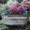 Pflanzenzauber. Kreative Ideen für die kalte Jahreszeit.