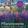 Pflanzrezepte für Balkon und Blumenbeet.