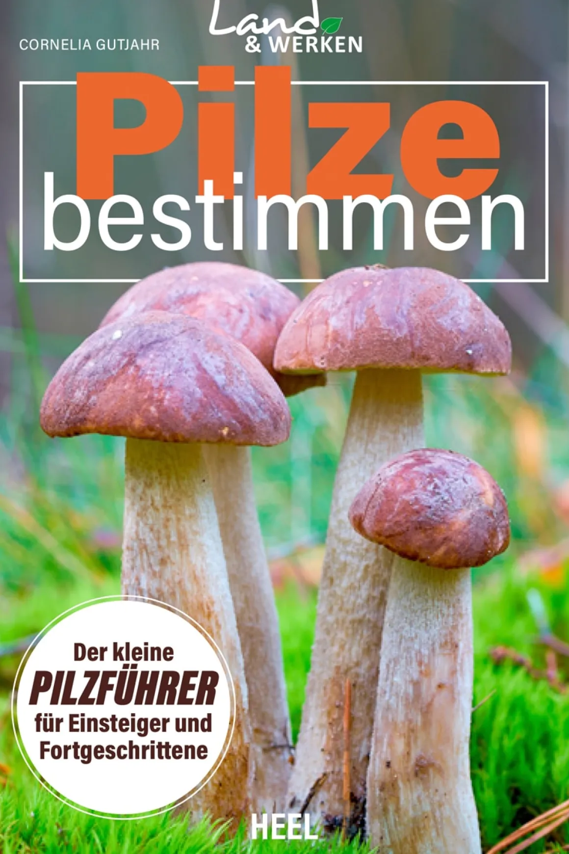 Pilze bestimmen. Der kleine Pilzführer für Einsteiger und Fortgeschrittene.