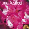 Rhododendron und Azaleen
