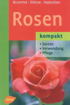 Rosen kompakt