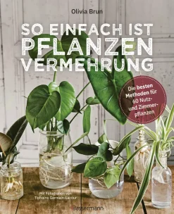 So einfach ist Pflanzenvermehrung. Die besten Methoden für 60 Nutz- und Zimmerpflanzen.