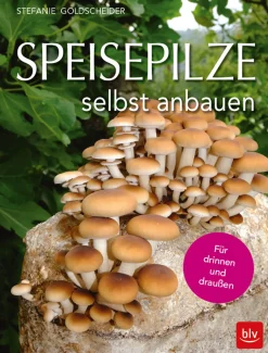 Speisepilze selbst anbauen. Für drinnen und draußen.