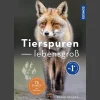 Tierspuren lebensgroß.