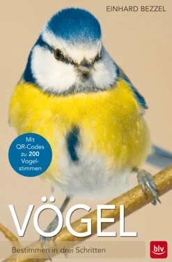 Vögel - Bestimmen in drei Schritten