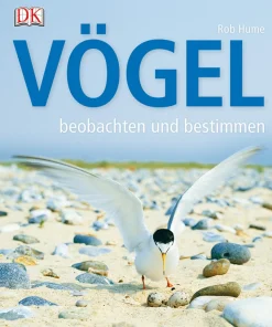 Vögel beobachten und bestimmen.