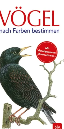 Vögel nach Farben bestimmen.