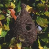Vogelnest für kleine Vögel.