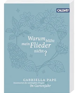 Warum blüht mein Flieder nicht?