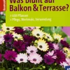 Was blüht auf Balkon & Terrasse? 650 Pflanzen, Pflege, Merkmale, Verwendung.