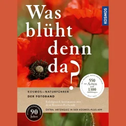 Was blüht denn da?