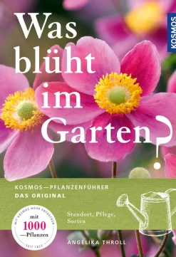 Was blüht im Garten?
