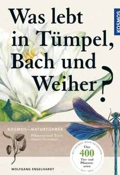 Was lebt in Tümpel, Bach und Weiher? Pflanzen und Tiere unserer Gewässer.