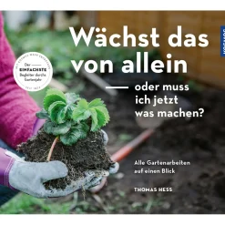 Wächst das von allein, oder muss ich jetzt was machen?