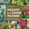 Wächst fast ohne Wasser. Gärtnern mit dem Klimawandel.