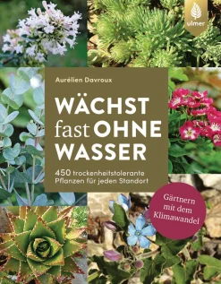 Wächst fast ohne Wasser. Gärtnern mit dem Klimawandel.