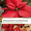 Weihnachtsstern und Mistelzweig.