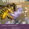 Welche Wildbiene ist das? Einfach erkennen und bestimmen.