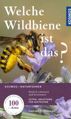 Welche Wildbiene ist das? Einfach erkennen und bestimmen.