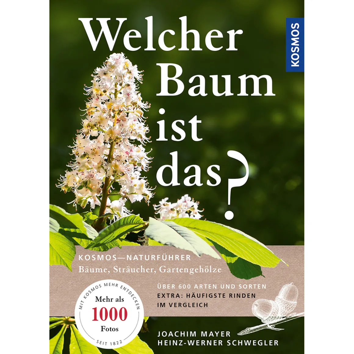 Welcher Baum ist das? Bäume, Sträucher, Gartengehölze.