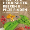 Wild- und Heilkräuter, Beeren und Pilze finden. Der Blitzkurs für Einsteiger.