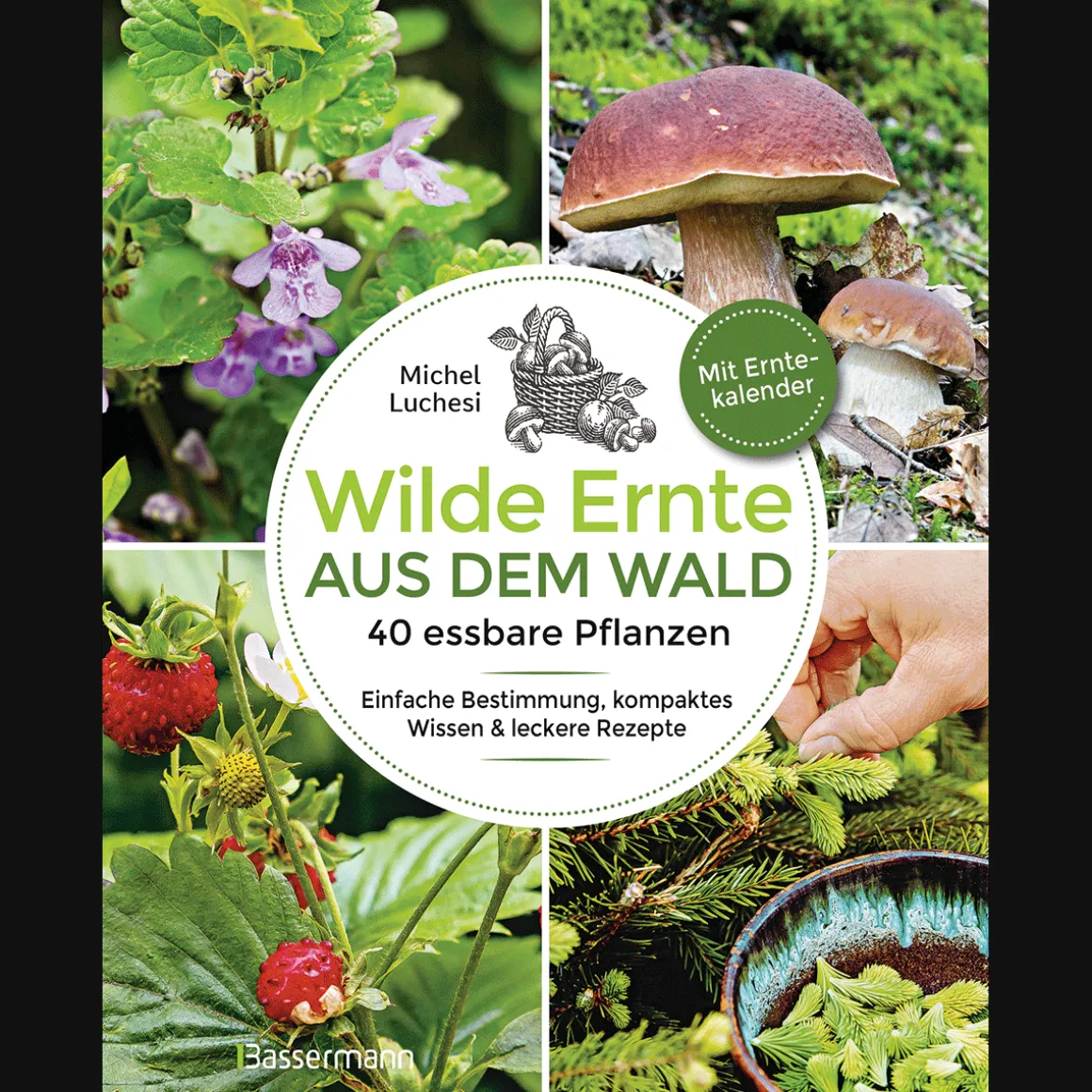 Wilde Ernte aus dem Wald. 40 essbare Pflanzen.
