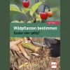 Wildpflanzen bestimmen. Essbar oder giftig?