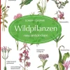 Wildpflanzen neu entdecken