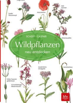 Wildpflanzen neu entdecken