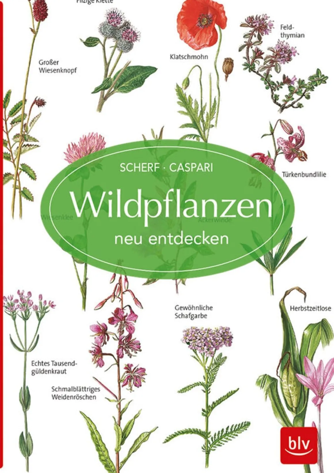 Wildpflanzen neu entdecken