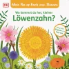 Wo kommst du her, kleiner Löwenzahn? Pop-up-Buch.