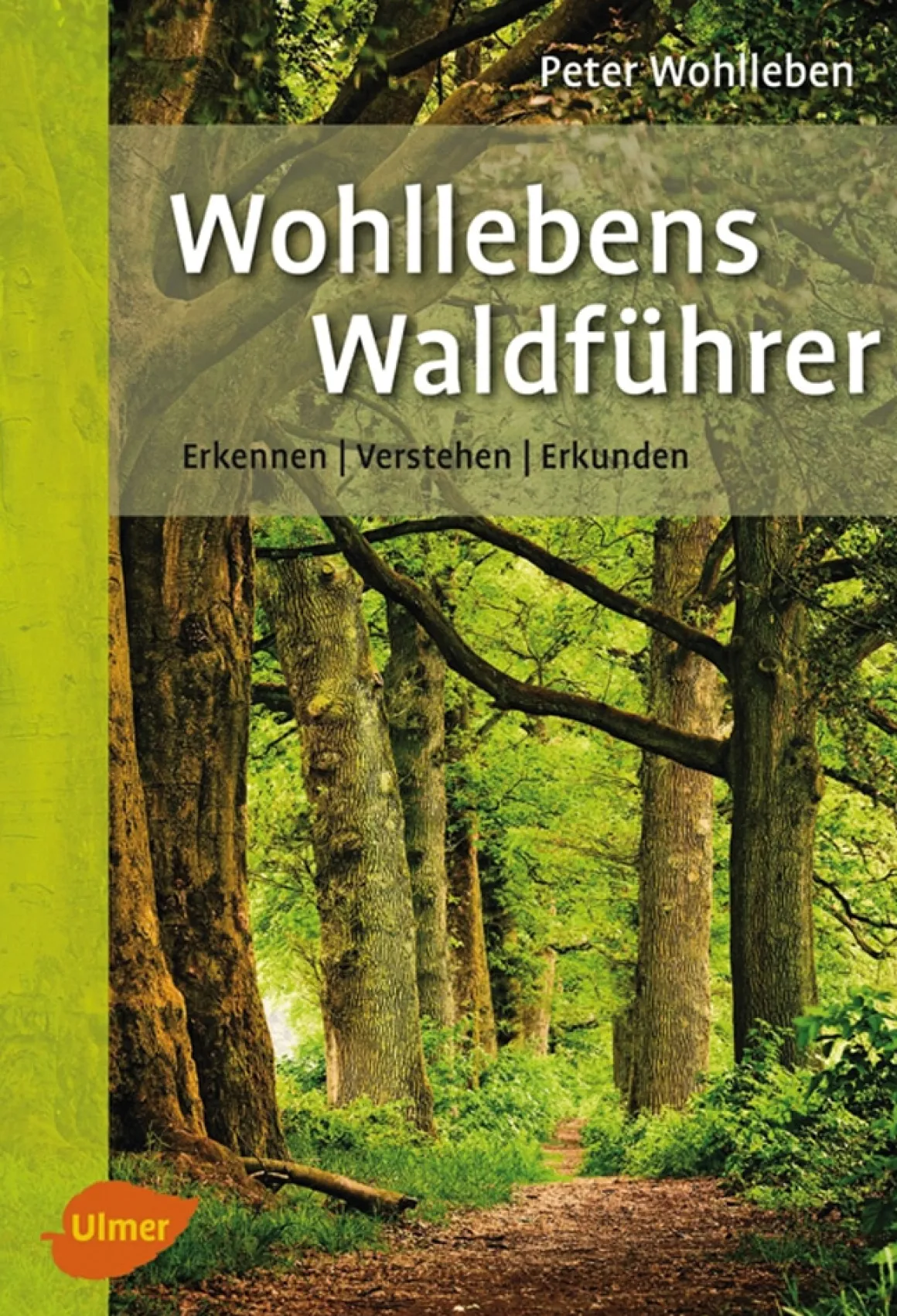 Wohllebens Waldführer. Erkennen, verstehen, erkunden.