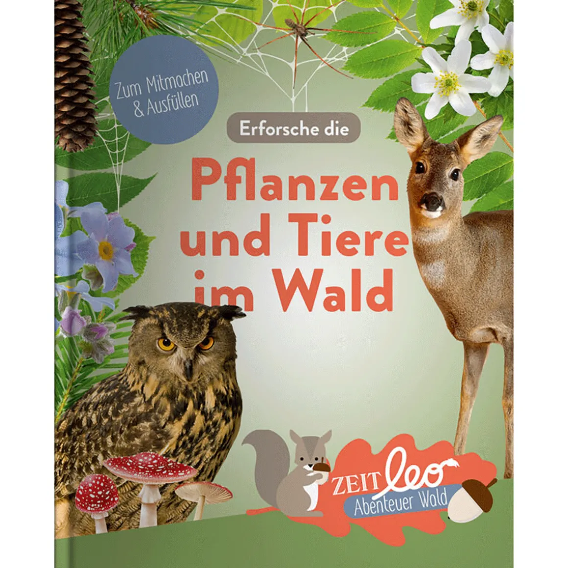 ZEIT leo. Erforsche die Tiere und Pflanzen im Wald.