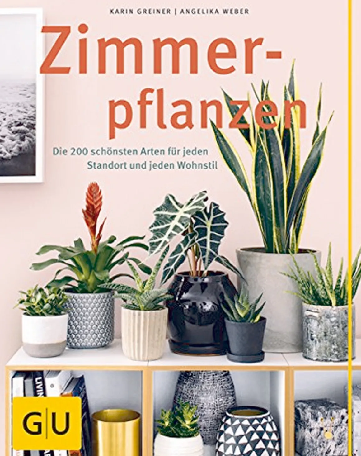 Zimmerpflanzen - Die 200 schönsten Arten für jeden Standort und jeden Wohnstil