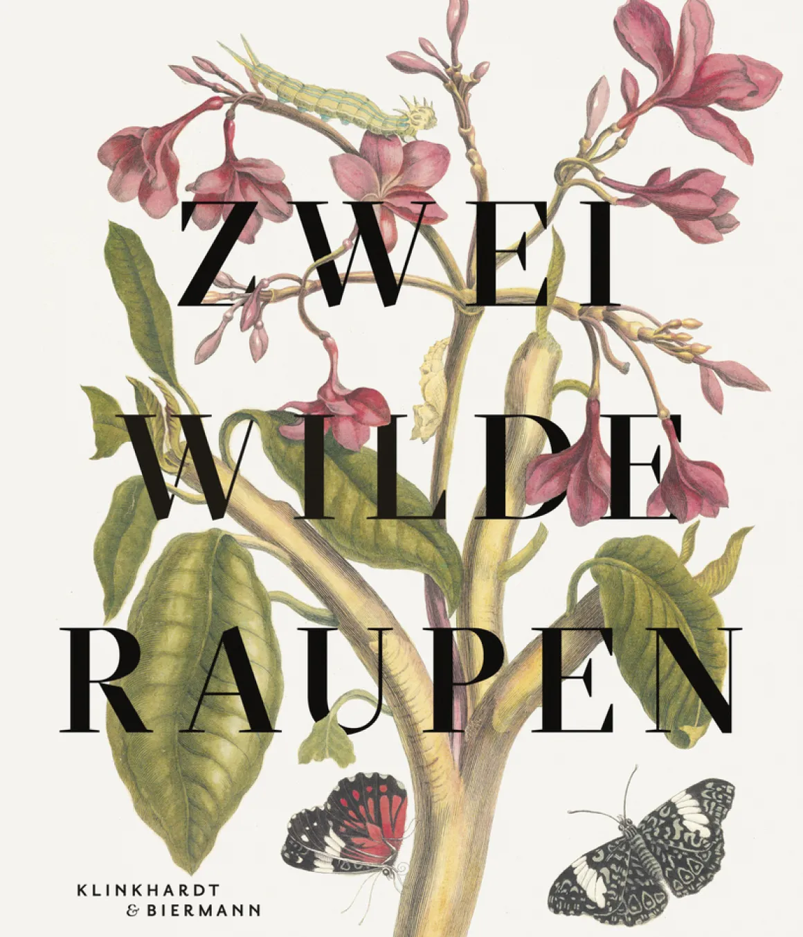 Zwei wilde Raupen. Die Abenteuer in den Bildern von Maria Sybilla Merian.